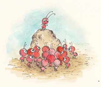 fourmis!!! très rouge
