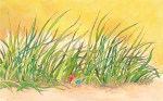 dans la jungle des&nbsp;herbes