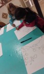 20161028_092814